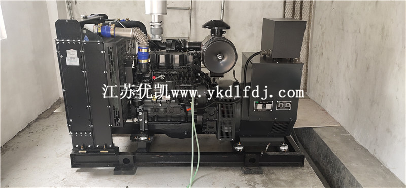 2021年1月26日，100KW上柴發(fā)電機(jī)組交付廣西防城港某養(yǎng)豬場使用