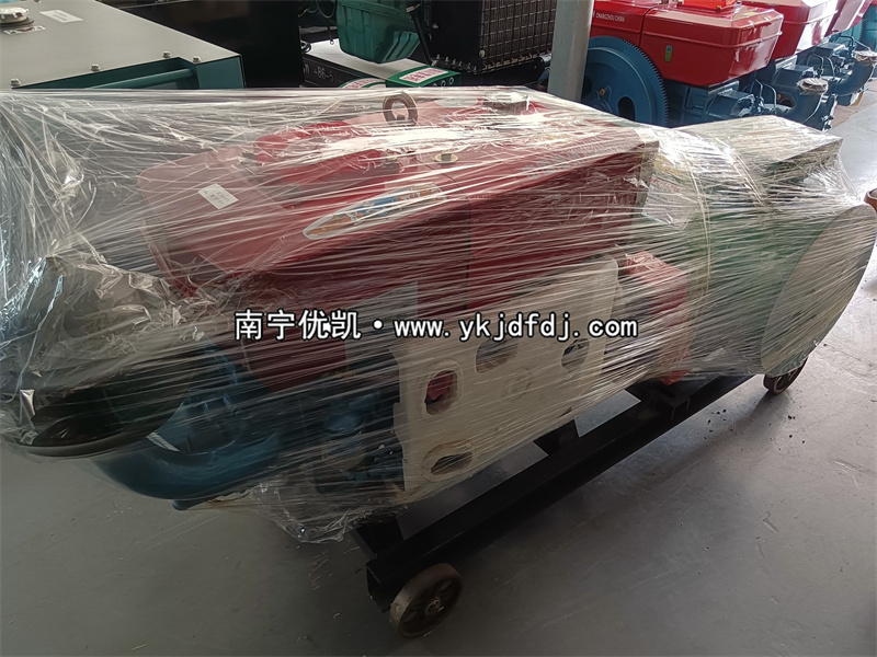 2023年6月10日，20kw單缸柴油發(fā)電機組發(fā)貨柳州